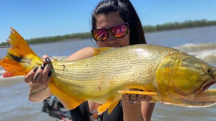 Pescadores experimentados apuntan el gran pique de dorados y tarariras en Gaboto