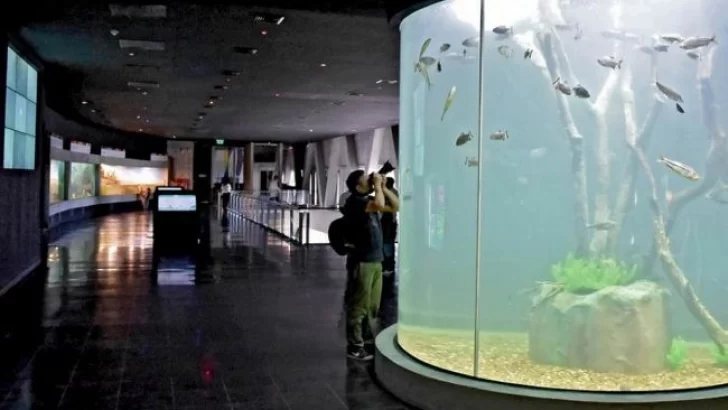 Hoy inaugurarán en Rosario el acuario más importante del país