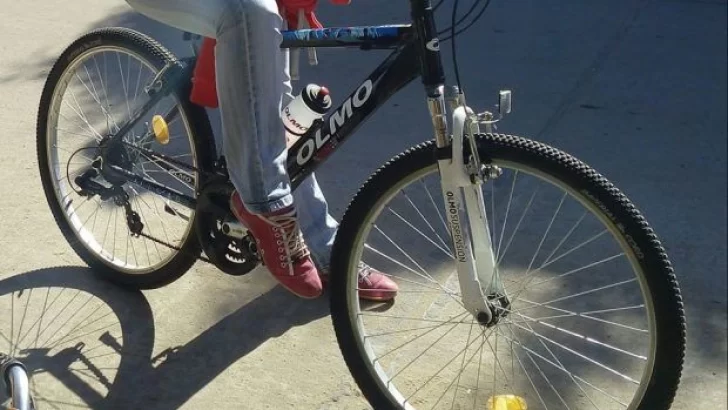 Robó una bicicleta, cuando la ofreció lo golpearon y terminó detenido