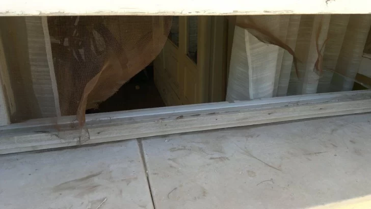 Regresó a su casa de fin de semana y se encontró que le habían robado