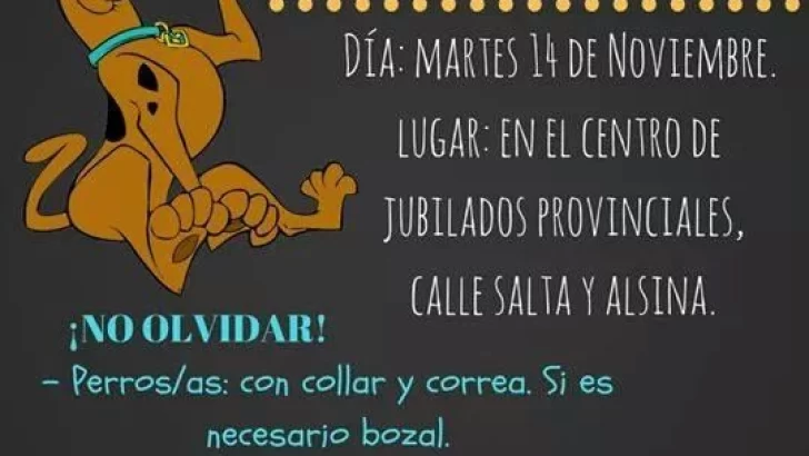 Habrá otra jornada de castración de mascotas en Oliveros