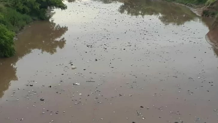 El Carcarañá se convirtió en un “tren de basura” de más de un kilómetro