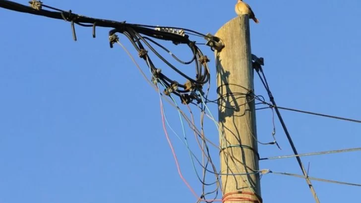 “Hace más de diez días que avisamos que se habían olvidado el cable”