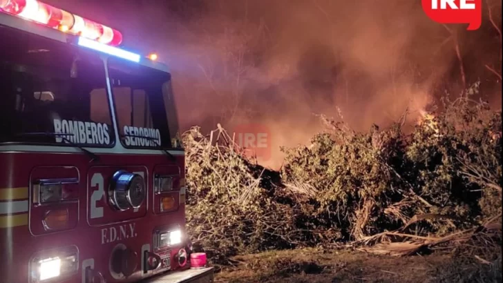 Anoche se desató un importante incendio en Andino que nubló la localidad