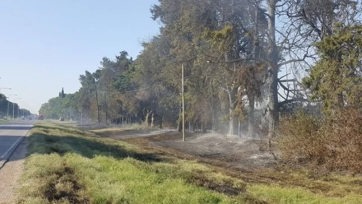 Se produjo un incendio de gran magnitud en un campo sobre ruta 11