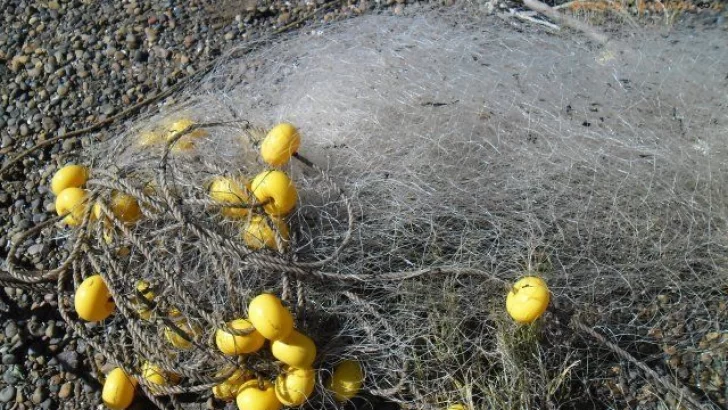 Robaron herramientas de pesca en una casa de fin de semana