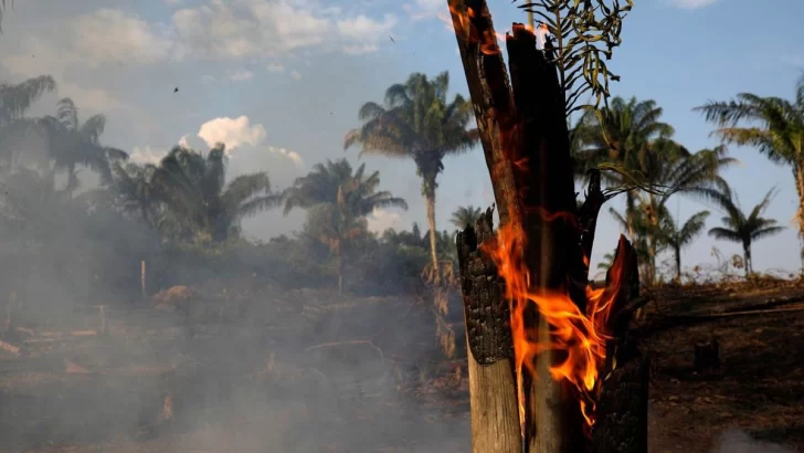 Sanear el ecosistema de Amazonia llevará entre 200 y 500 años