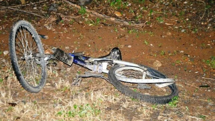 En una recorrida de rutina la policía dio con una bicicleta robada