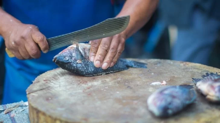 Monje regulará  la venta de pescado para Semana Santa