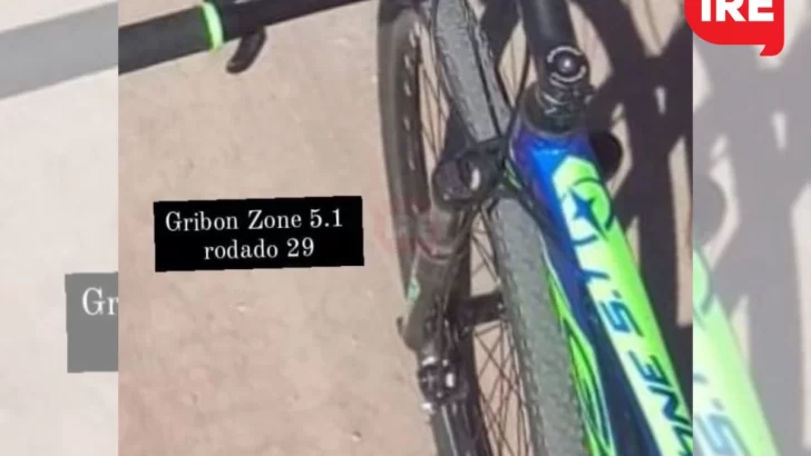 Un niño sufrió el robo de su bici frente a la escuela primaria de Monje