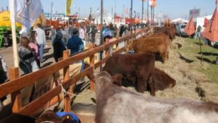 Alumnos de la EESO Nº374 de Timbúes visitarán AgroAtiva