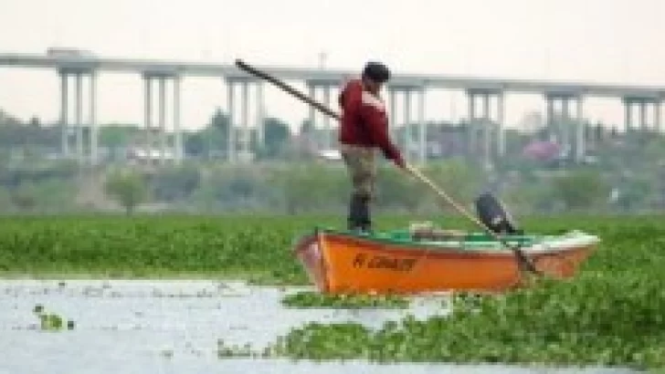 Declaran sitio de protección internacional a los humedales del Delta del Paraná