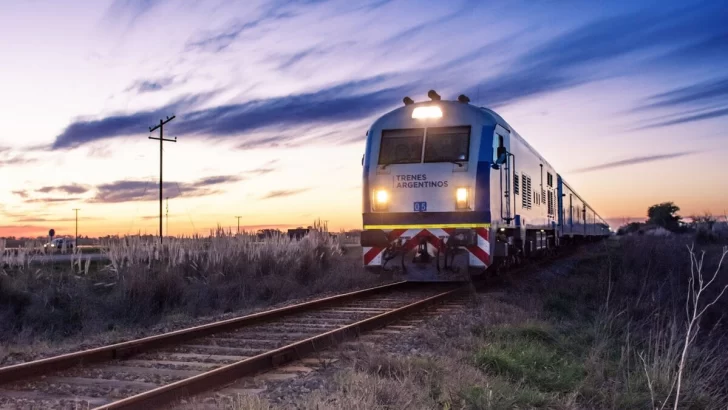 Cambios en el pasaje del Tren: Ahora habrá un sistema de confirmación obligatorio