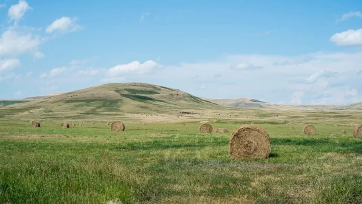 La actualidad del campo en Rosario