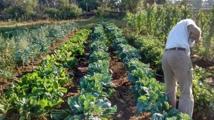 Dictarán un curso internacional virtual sobre agroecología