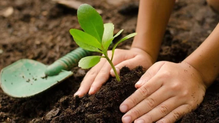 INTA: Abrió la inscripción para un curso gratuito de agroecología