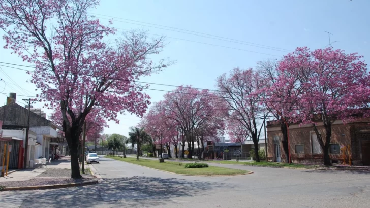 Barrancas definirá este domingo si flexibiliza el horario comercial