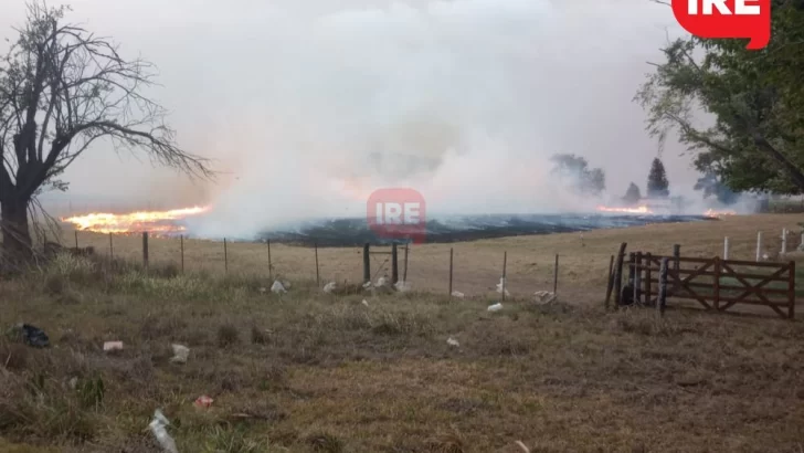 Medio Ambiente intimó a Andino, Oliveros y Timbúes por basurales a cielo abierto