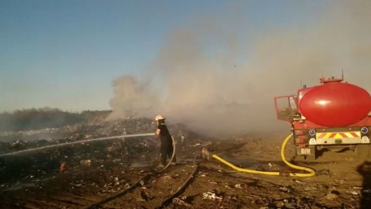 Comenzaron las actuaciones por la denuncia de Medio Ambiente hacia Maciel