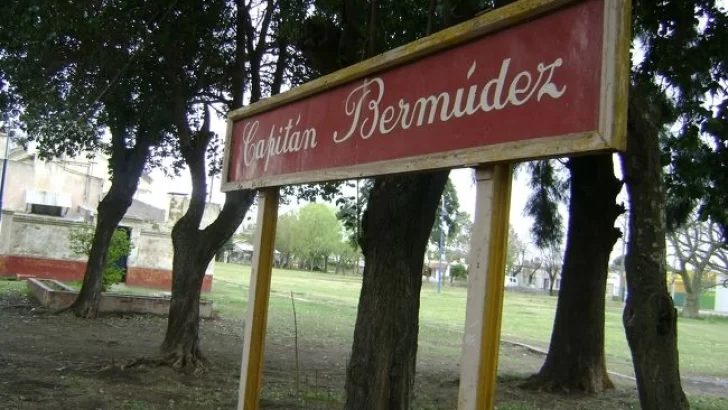 Capitán Bermúdez: Fue talado un retoño del Pino Histórico