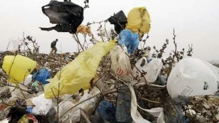 Entregan eco bolsas a cambio de un alimento no perecedero