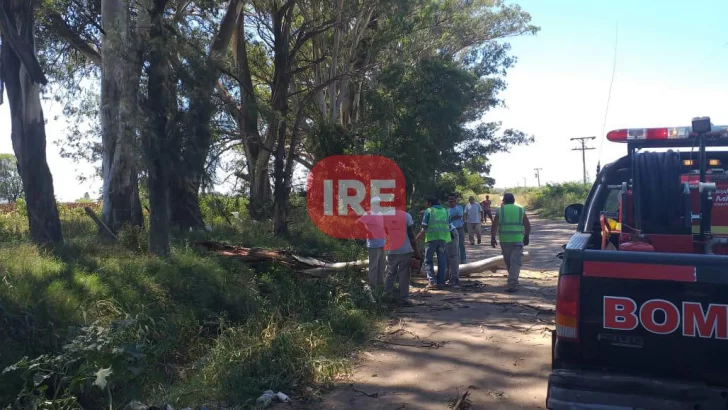 Una rama hizo explotar un transformador y dejó al pueblo sin luz