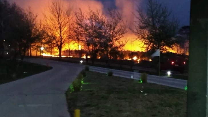 Se produjo un incendio de gran proporción en un campo sobre ruta 11