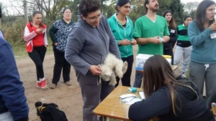Más de 550 mascotas vacunadas y desparacitadas