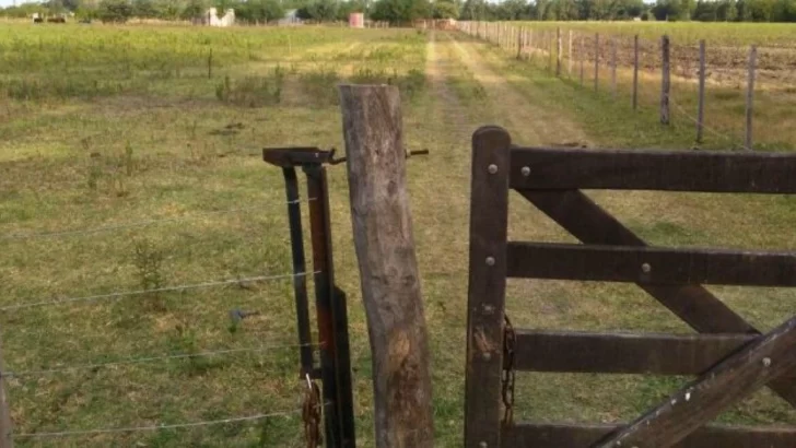 Serodino: Violentaron una puerta e ingresaron a robar a una casa en la zona rural