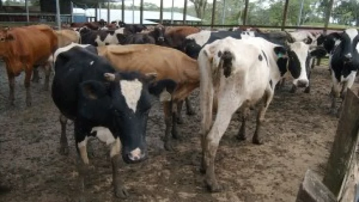 Falleció un hombre en la zona rural de Oliveros