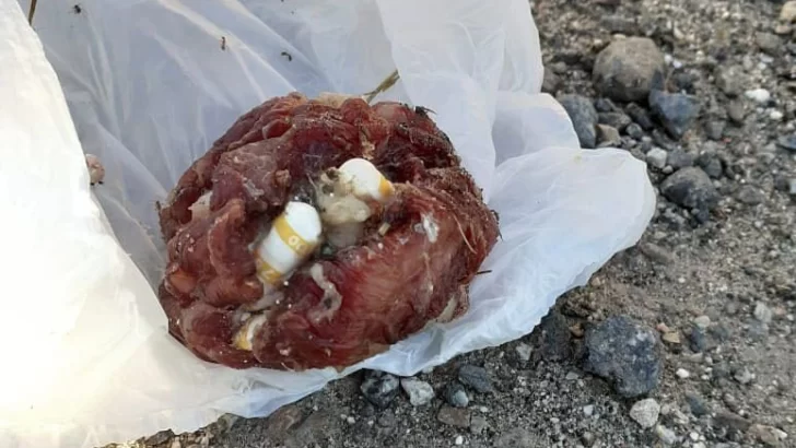 Encontraron pastillas envueltas en carne y alertaron a los vecinos para cuidar a sus mascotas