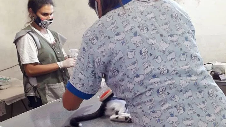 Barrancas anunció nueva fecha para continuar con su campaña de esterilizaciones gratuitas