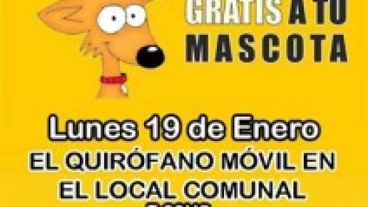 Serodino: Nuevo llamado para castración de mascotas