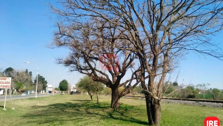 Maciel busca sumar un paseo aeróbico y retomó el proyecto de cloacas