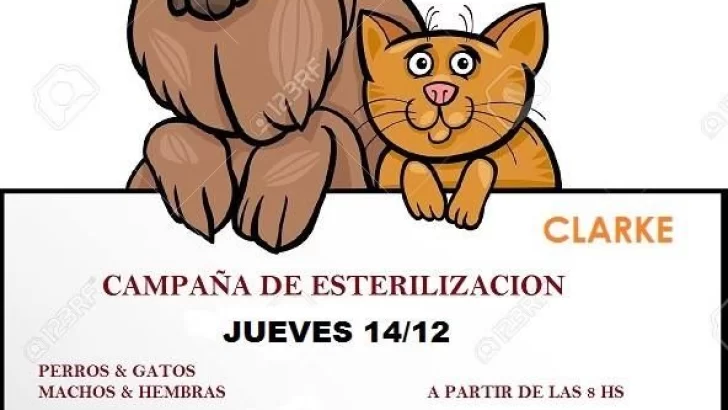 “Clarke por los animales” organiza una nueva jornada de castración