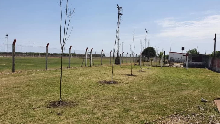 Por tercera vez el Club Maciel sufrió la rotura de plantas en su predio