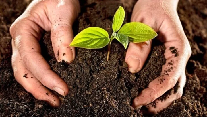 Monje propone una jornada de ecología y cine para las familias