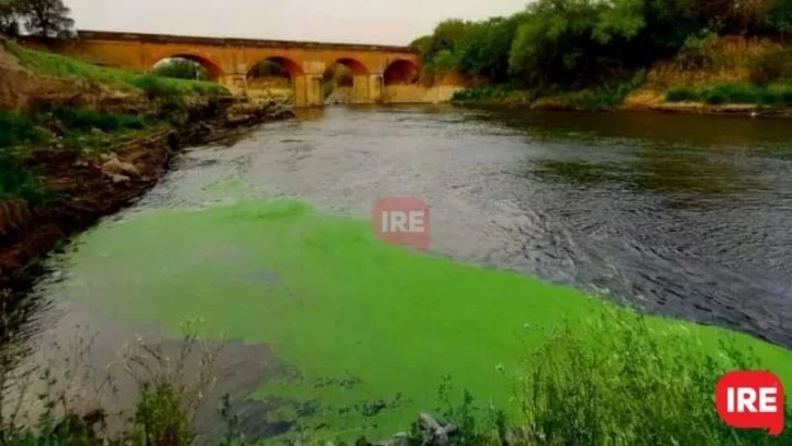 Gran cantidad de cianobacterias aparecieron y sorprendieron en el río de Andino