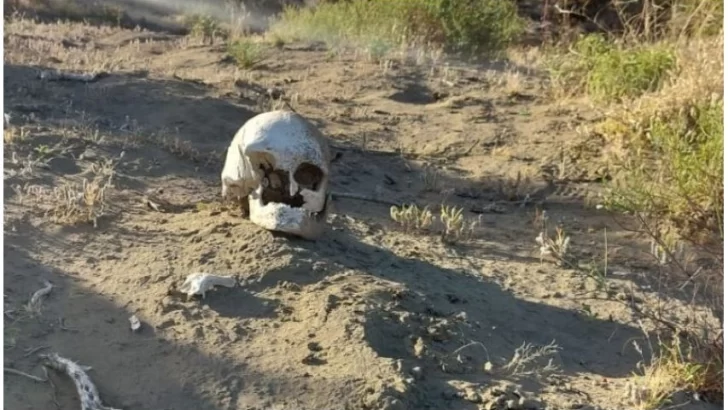 Macabro hallazgo: Un pescador encontró un cráneo humano en el arroyo Serodino