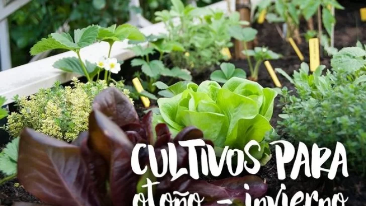 Capacitación gratuita y abierta en cultivos de otoño invierto