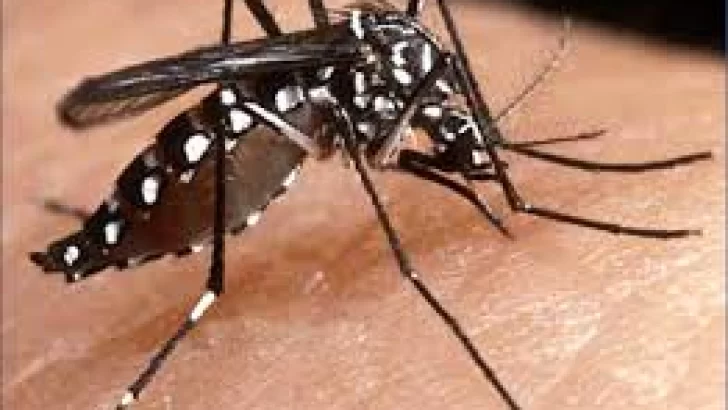 Detectan un caso de dengue en Santa Fe