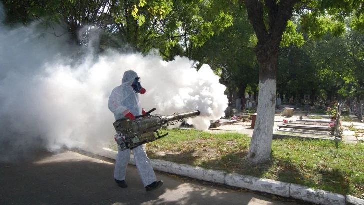 Protocolos contra el dengue: ¿Es conveniente la fumigación?