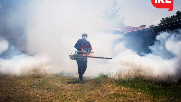 Los casos de dengue superan los 13 mil y hay 12 internados: Uno en San Lorenzo