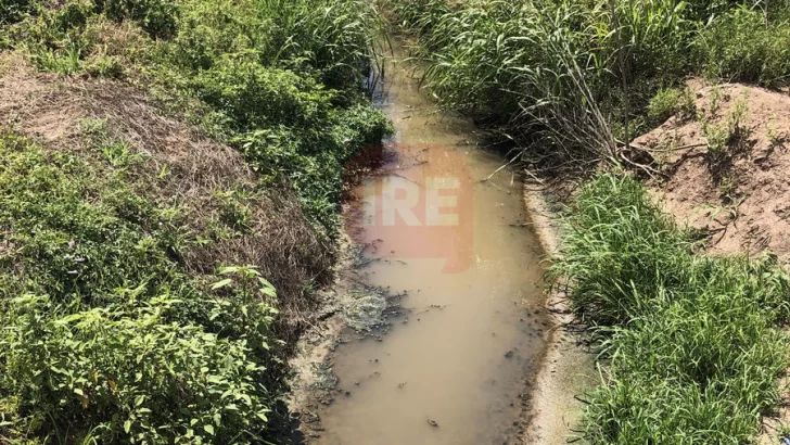 Denuncian que el desagüe central está tapado y contaminado