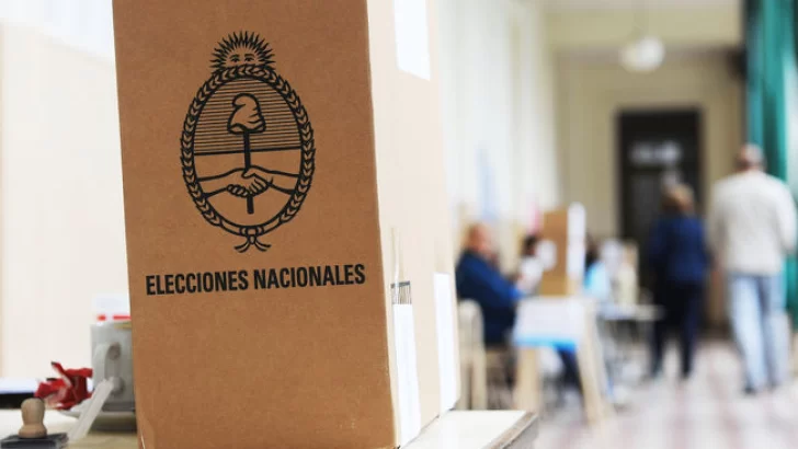 Pueden participar en las elecciones los candidatos con causas