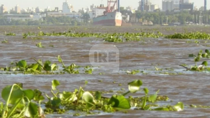 El río Paraná sigue subiendo, llegó a los 5,20 y piden extremar las precauciones
