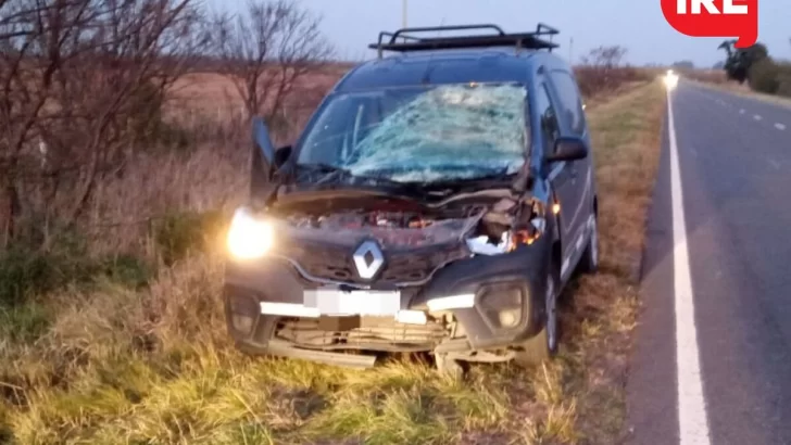 Un caballo se cruzó en ruta 65 en medio de la noche y lo chocó una kangoo: Un hombre herido