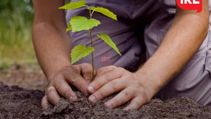 Bienvenida primavera: Vecinos por el Ambiente invitan a una jornada de plantación