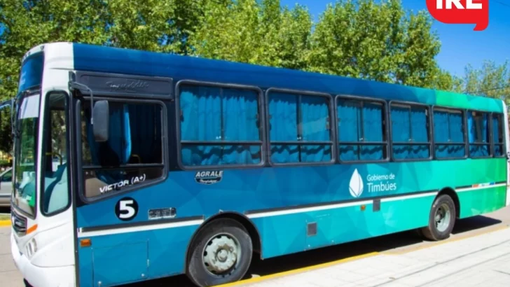 Todos a disfrutar al aire libre: El colectivo buscará a los chicos en todos los barrios