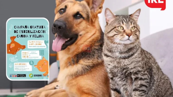Serodino convoca a una nueva campaña de esterilización gratuita para mascotas